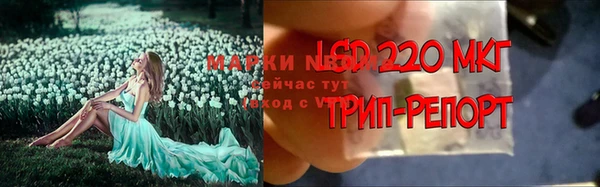 эйфоретик Абдулино