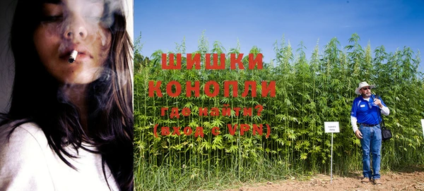 шишки Алзамай