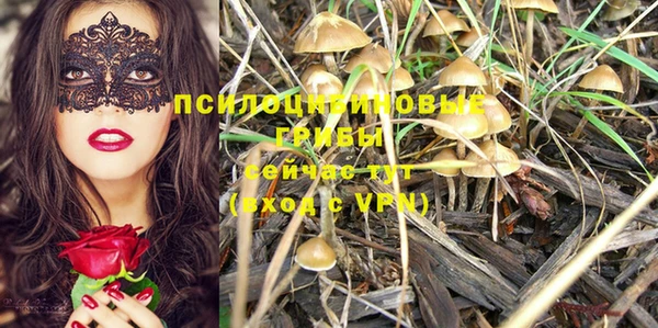 не бодяженный Абаза