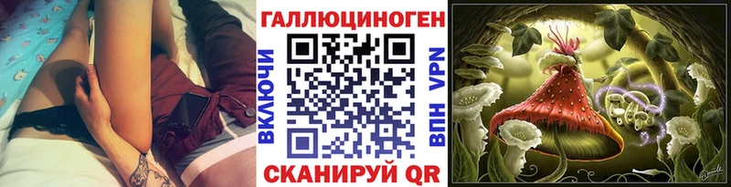 блэк спрут вход  Чухлома  Псилоцибиновые грибы мухоморы 